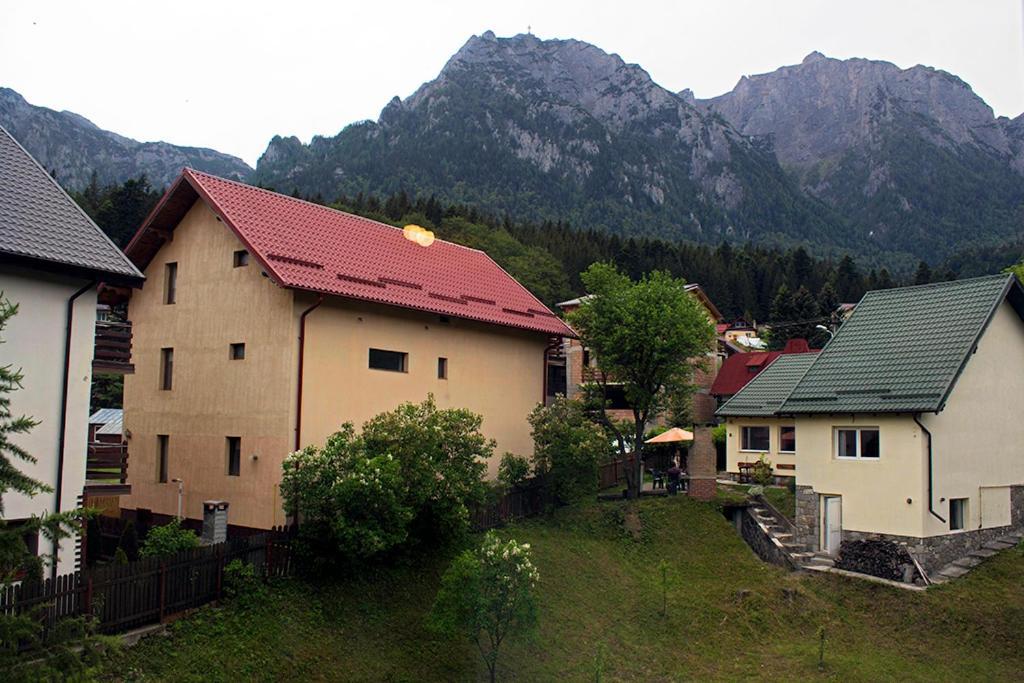 Apartament Mountain Life Szászbuda Kültér fotó