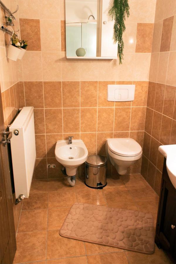 Apartament Mountain Life Szászbuda Kültér fotó